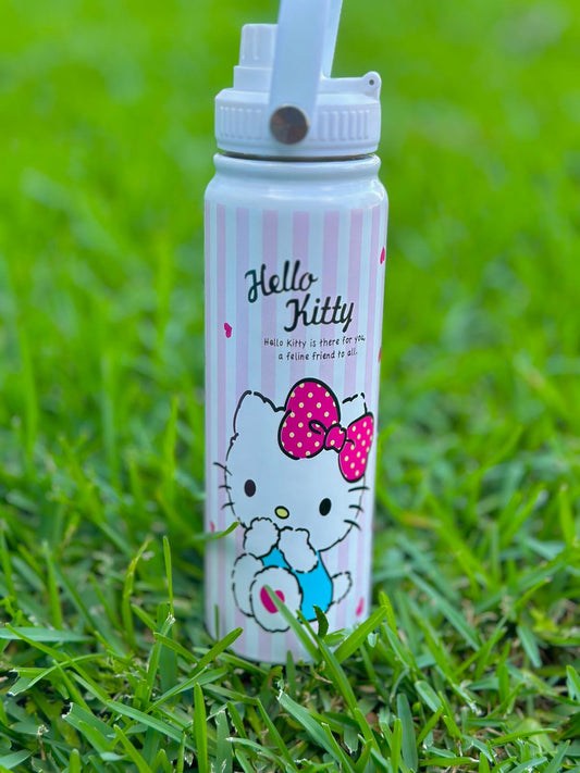 Hello Kitty w/th Pink Lines Tumbler